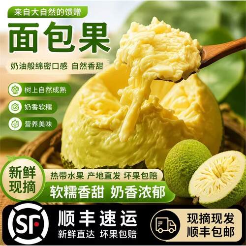 稀有面包果鲜果当季现摘