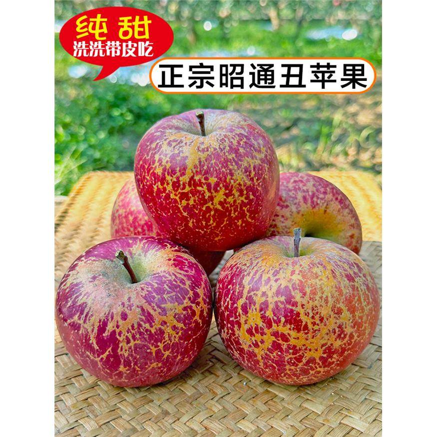 现摘云南昭通红露丑苹果正宗冰糖心脆苹果新鲜水果红富士当季整箱,包装,水果包装,淘宝优惠券,粉丝福利购,淘宝优惠卷