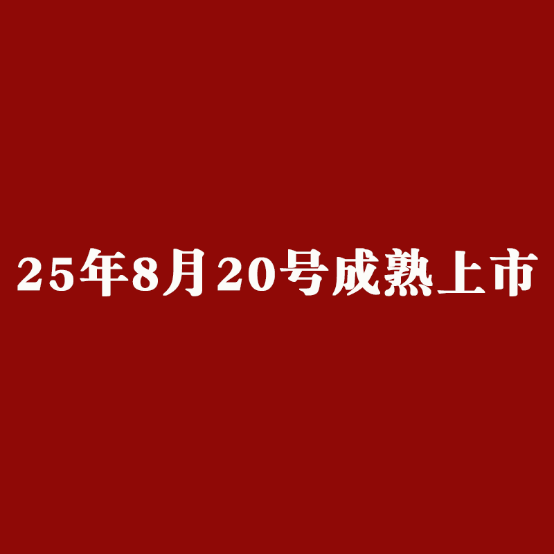 会理突尼斯软籽石榴一级果精品软子大果5斤新鲜水果无籽红甜