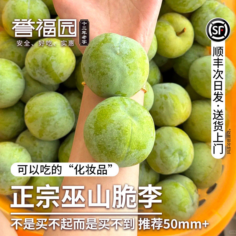 顺丰上门正宗重庆巫山脆李现货脱骨李曲尺青脆李新鲜当季整箱李子