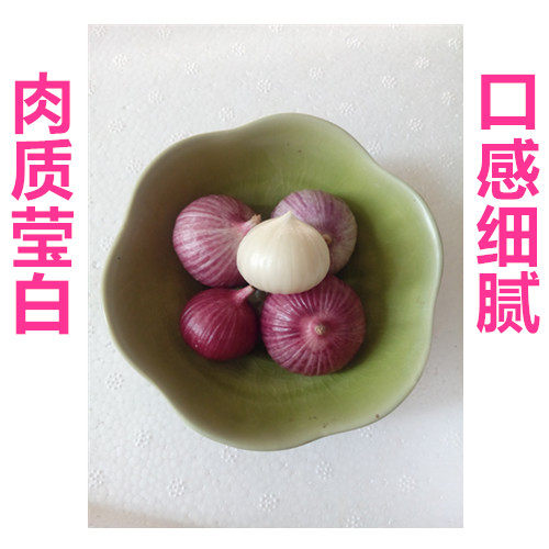 紫皮独头蒜新鲜 2026年新鲜表皮干 大蒜独蒜云南农家自种  2斤5斤