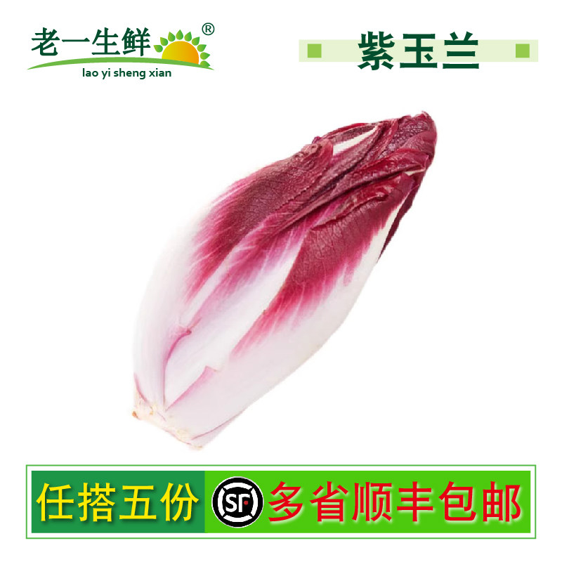 新鲜紫玉兰菜500g红芽球