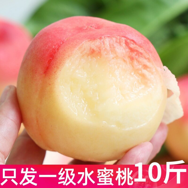 现摘水蜜桃10斤整箱新鲜