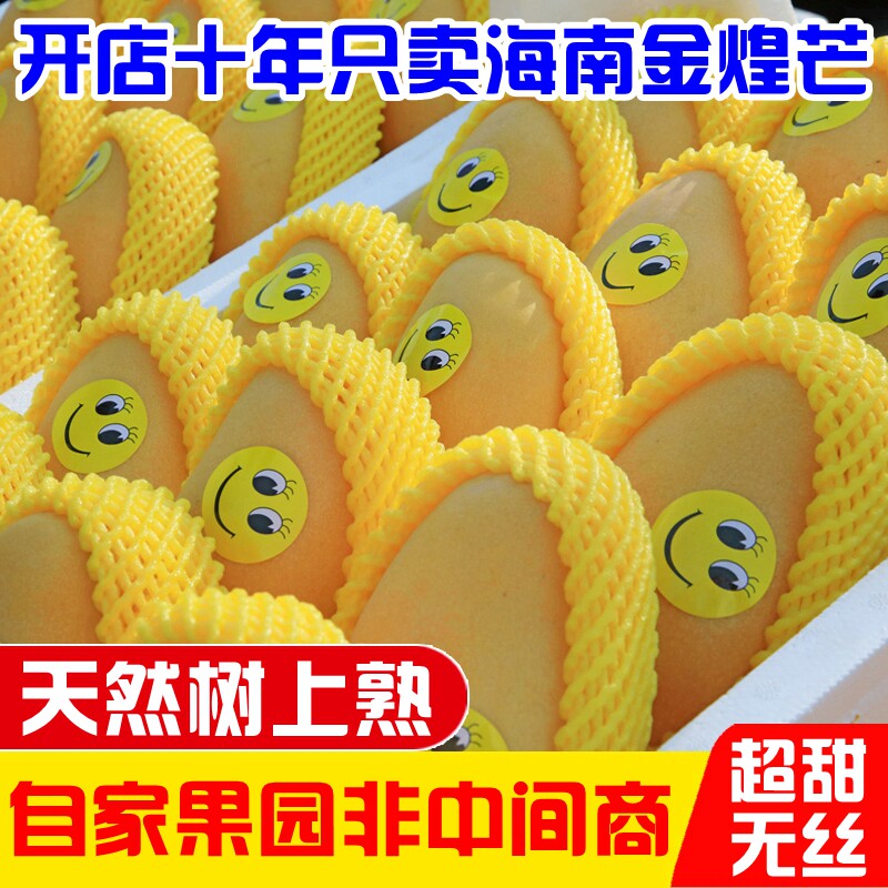 正宗海南三亚金煌芒果高