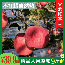 精品陕西宜君苹果山地苹果普通包装 9斤山地种植脆甜包邮