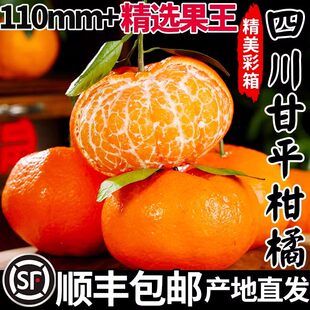 正宗四川甘平柑橘皇后小金牛新鲜水果耙耙粑粑柑整箱10斤礼盒顺丰