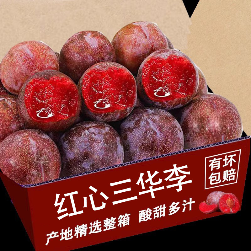 红心芙蓉李大果李子水福