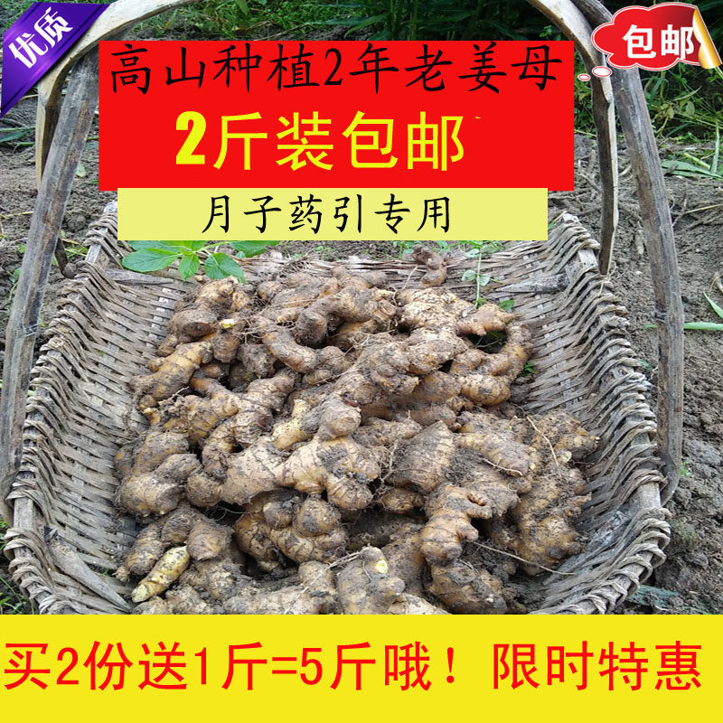 农家生姜小黄姜老姜土姜月子姜母新鲜包邮现挖2斤装有机自种干姜