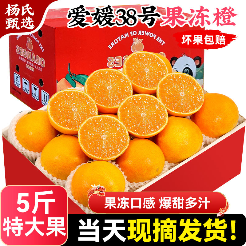 四川爱媛38号果冻橙子当季水果新鲜特级手剥柑橘礼盒装