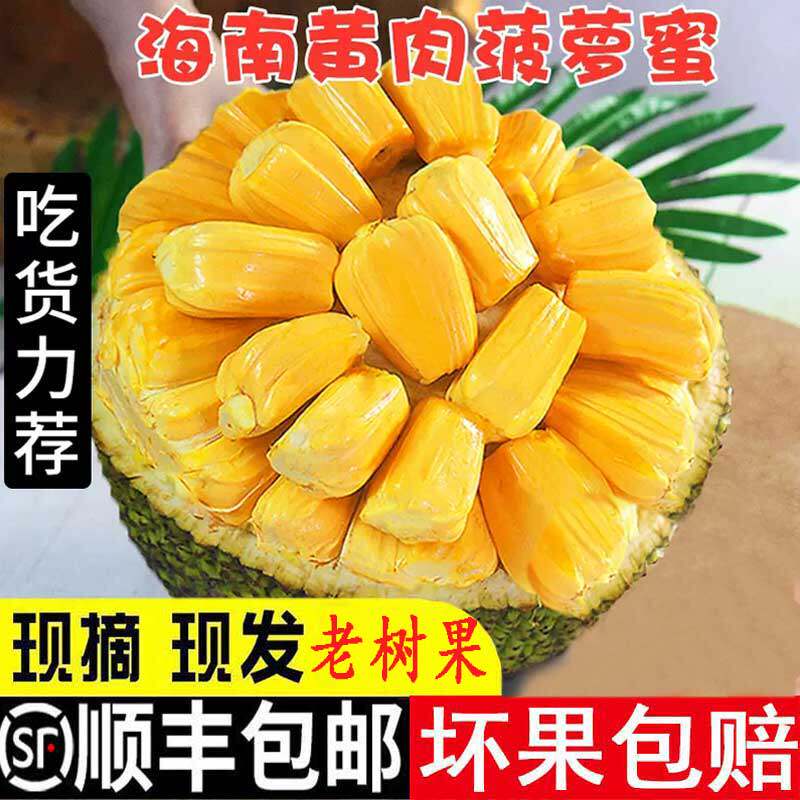 海南菠萝蜜新鲜水果一整个木波萝黄肉干苞当应季大树菠萝顺丰包邮