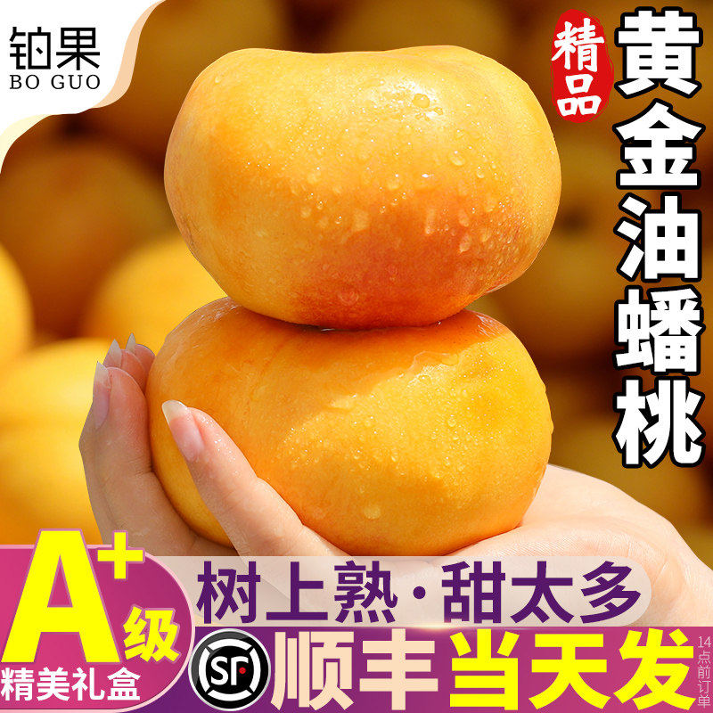 顺丰礼盒5斤山东蒙阴黄