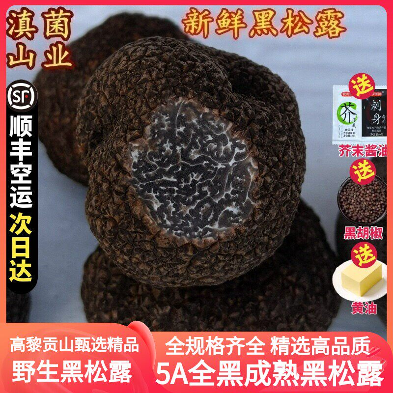 黑松露菌新鲜野生 云南菌子山珍块菌特产成熟顺丰次日达美食稀有