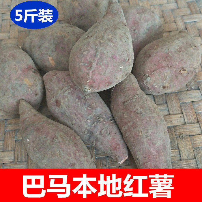 广西巴马特产农家自种红
