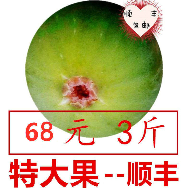 特大果，3斤新鲜无花果甜糯威海青皮无花果，优选大果