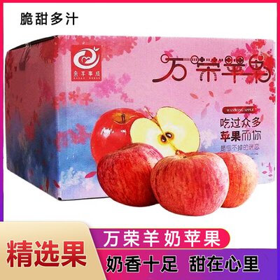 万荣羊奶苹果礼盒装新鲜水果时令应当季脆甜冰糖心山西奶油红富士