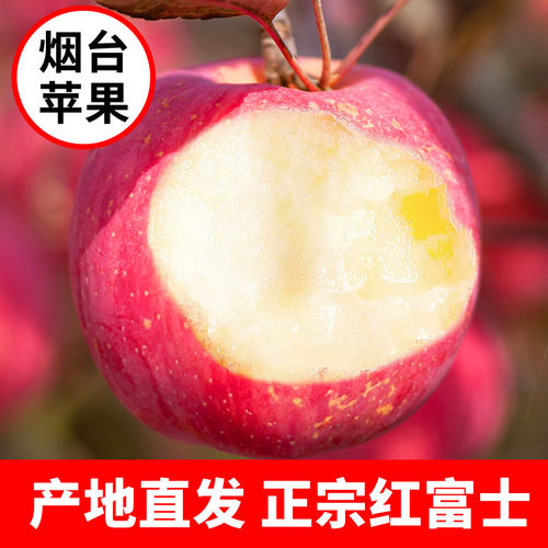 烟台红富士苹果水果5斤新
