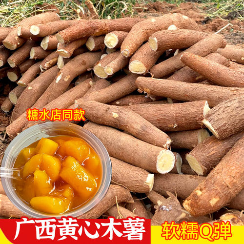 正宗黄心木薯新鲜现挖广