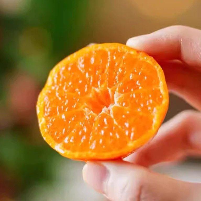 蛋婶儿高山砂糖橘广东新鲜水果当季橘子蜜桔整箱沙糖桔小桔子现摘,包装,水果包装,淘宝优惠券,粉丝福利购,淘宝优惠卷