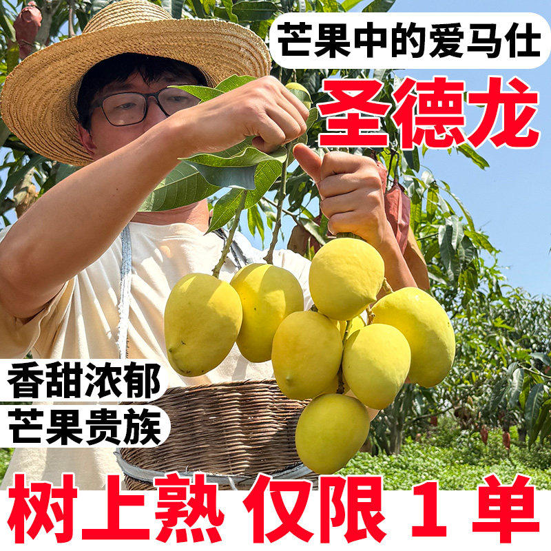2026年新货正宗缅甸圣德