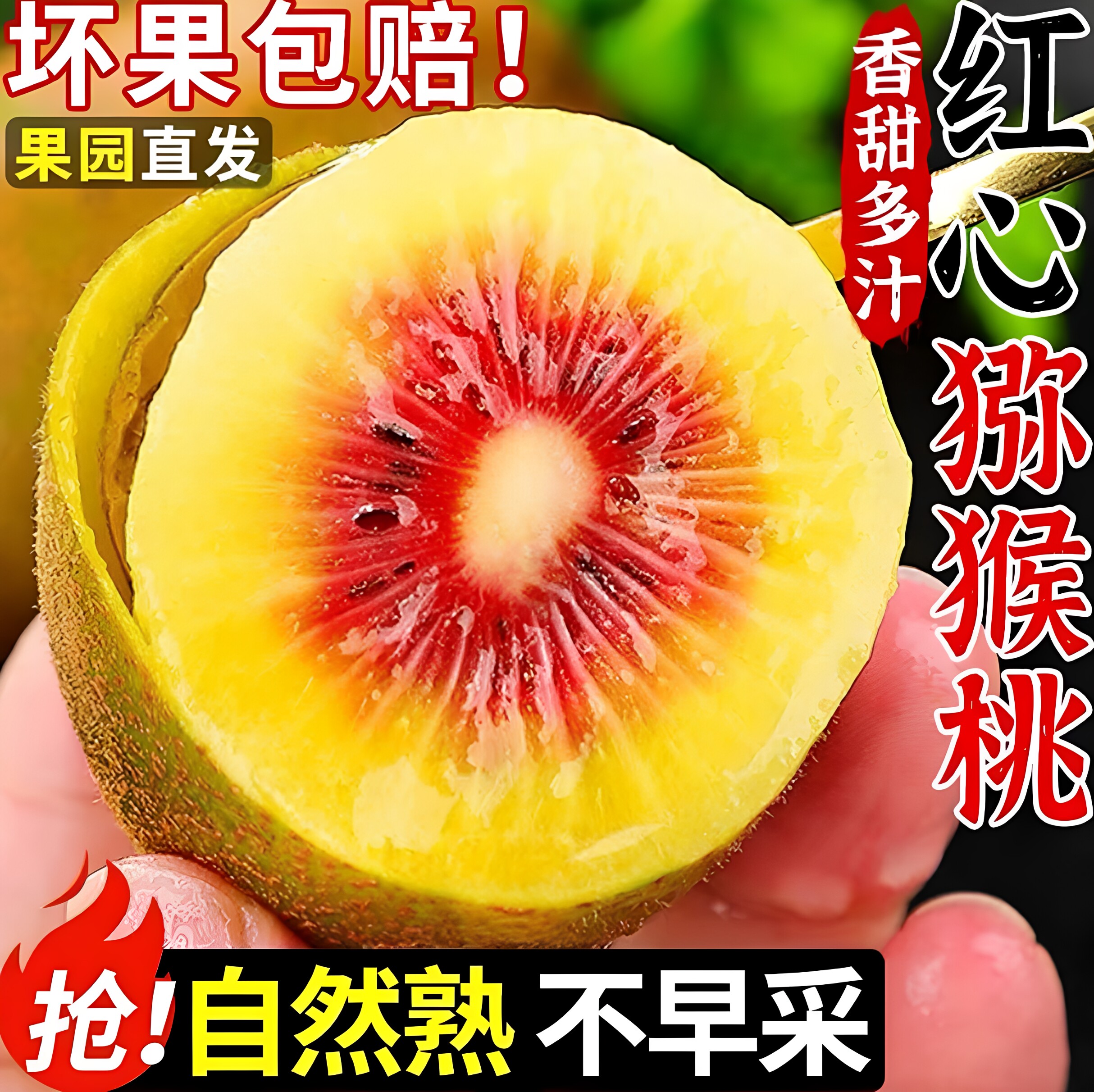 四川都江堰红心猕猴桃大果当季现摘新鲜孕妇水果奇异果都江堰礼盒