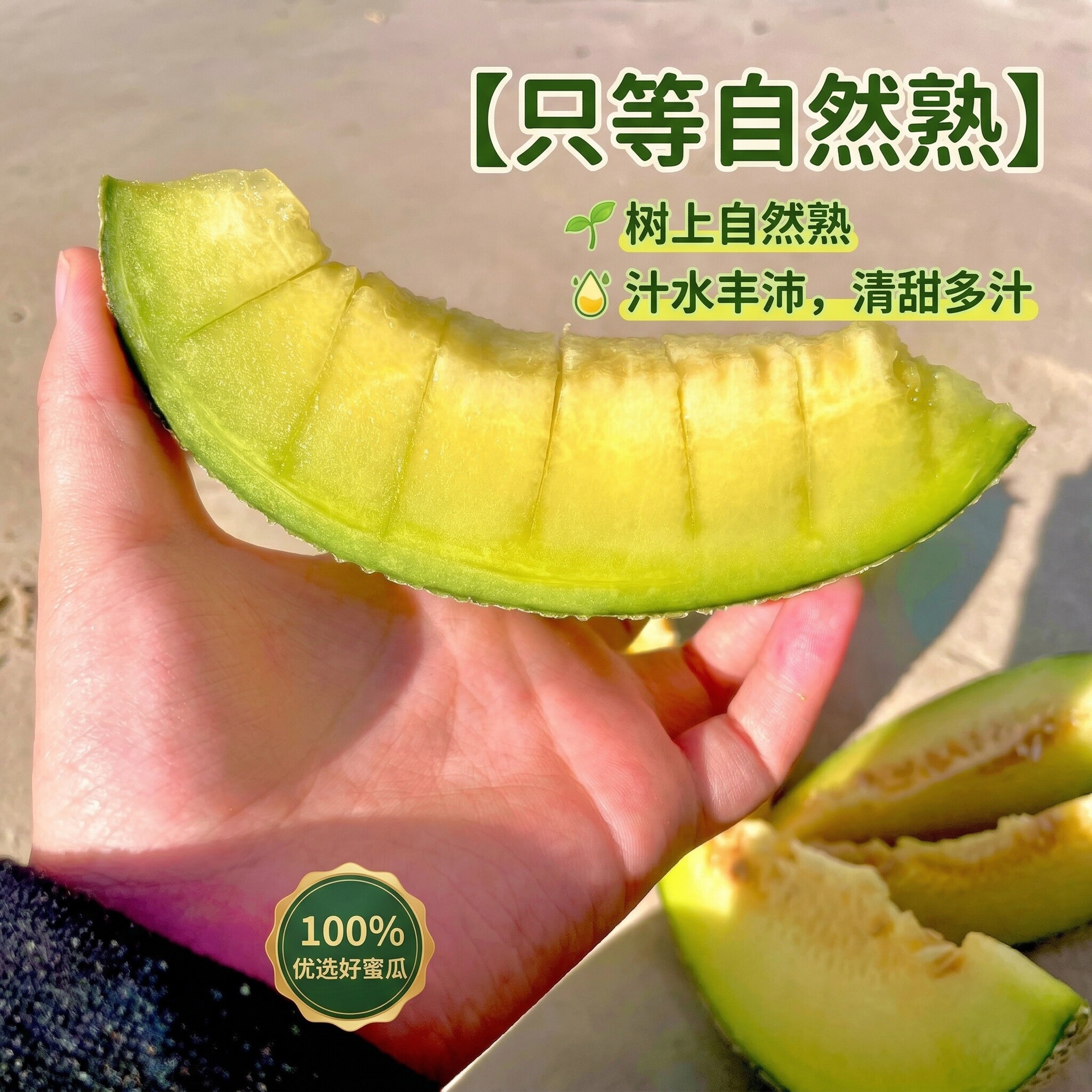 【商超品质】海南玫蜜珑