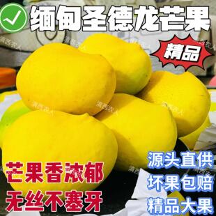 正宗缅甸圣德龙芒果新鲜水果圣德龙芒果应季水果不塞牙坏果包赔