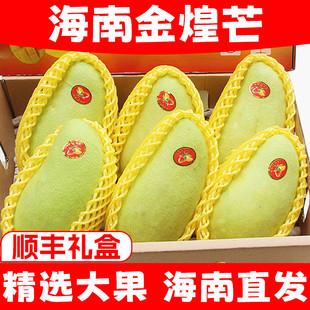 海南特产金煌芒三亚芒果当季新鲜水果特大水仙金黄芒顺丰礼盒10斤