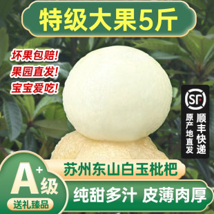 现货特大果苏州东山白玉枇杷5斤新鲜水果孕妇水果白枇杷果顺丰