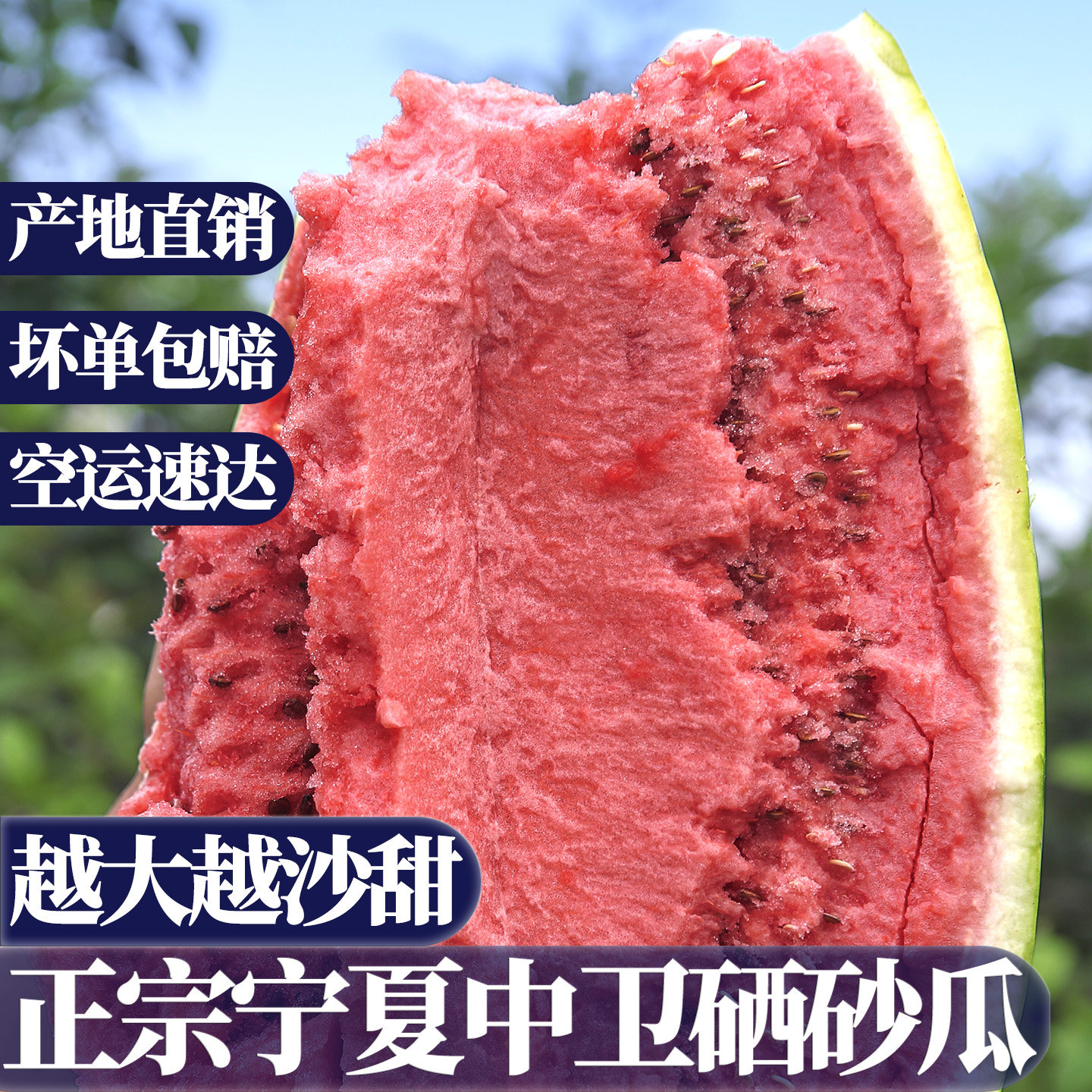 正宗宁夏西瓜石头地压砂