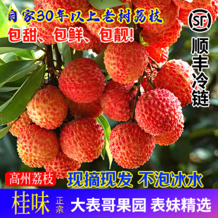 [大表哥]正宗高州荔枝老树白糖罂妃子都笑新鲜采摘水果桂糯米味糍