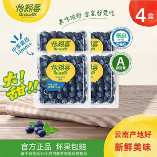 【种地吧同款】怡颗莓云南蓝莓新鲜当季水果中果125g/盒脆甜