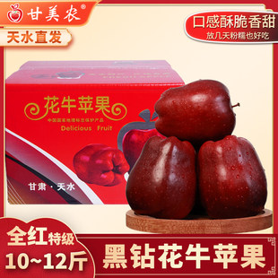 甘美农黑钻天水花牛苹果蛇红果10斤12斤新鲜脆甜粉面老人水果礼盒