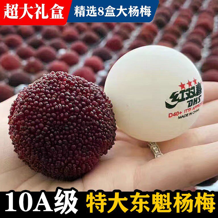 10A级特大果】正宗仙居东