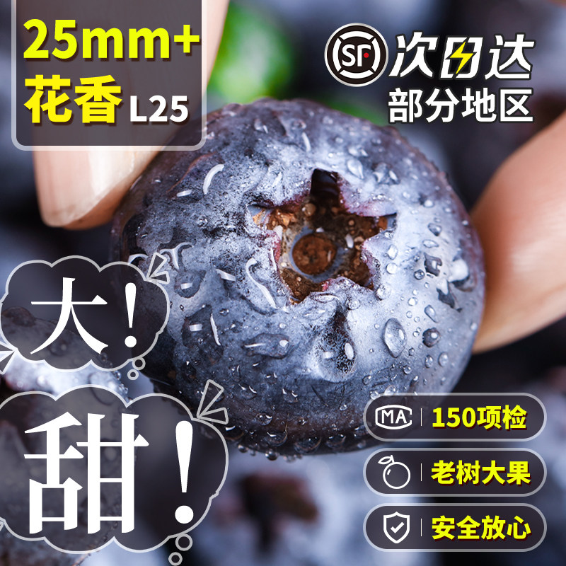 云南花香高山蓝莓新鲜果