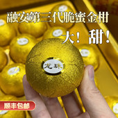 正宗融安脆蜜金桔第三代脆蜜金柑鲜果特大金箔Ferrero礼盒装 水果