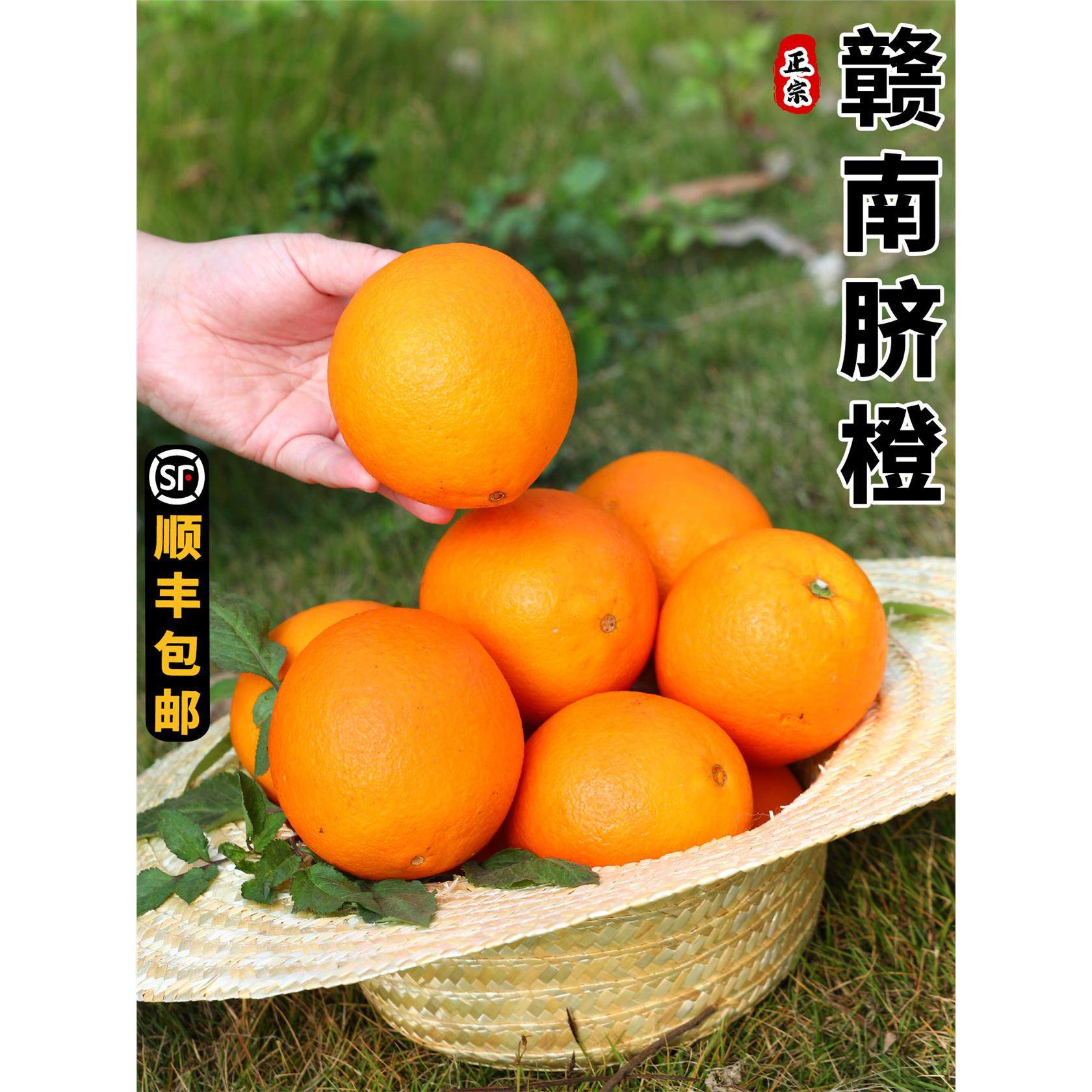 正宗赣南脐橙10斤装大果甜橙子江西赣州产地直发新鲜水果整箱包邮,包装,水果包装,淘宝优惠券,粉丝福利购,淘宝优惠卷