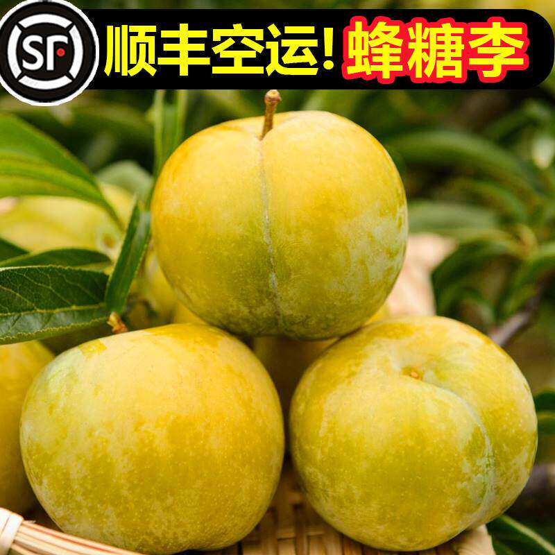 贵州六马蜂糖李子5斤脱骨