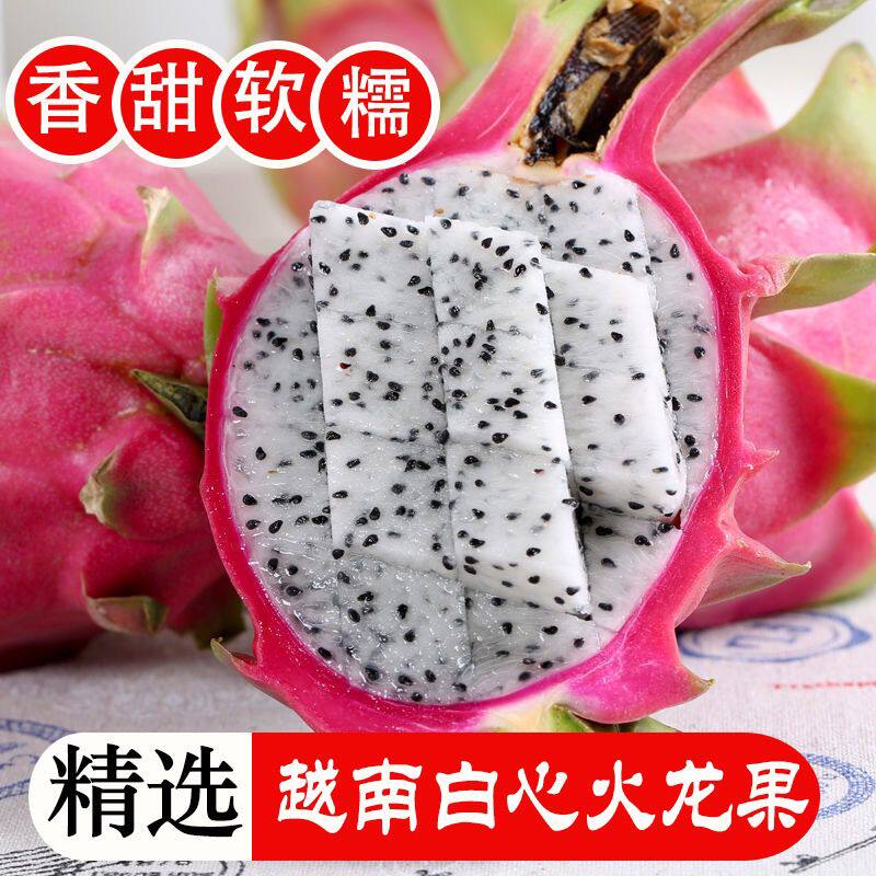 越南火龙果白心大果新鲜