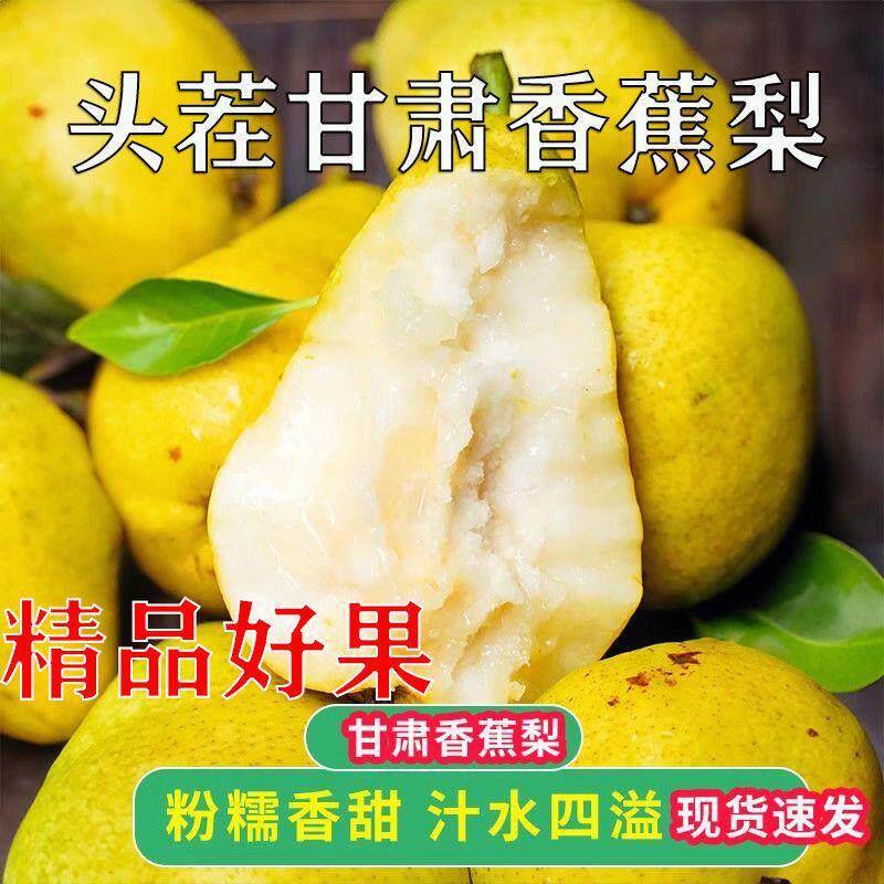 甘肃香蕉梨太婆梨水果新