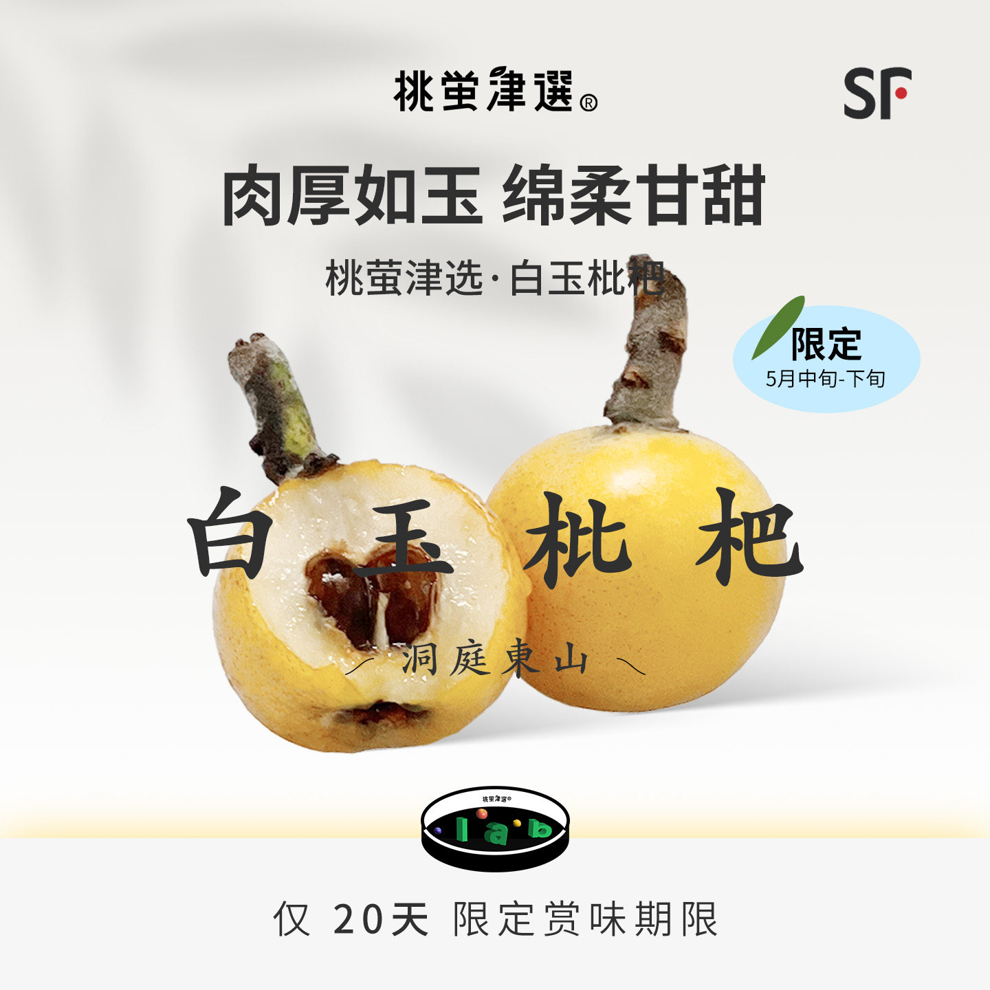 桃萤津选苏州东山白玉枇