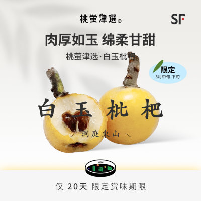 桃萤津选苏州东山白玉枇