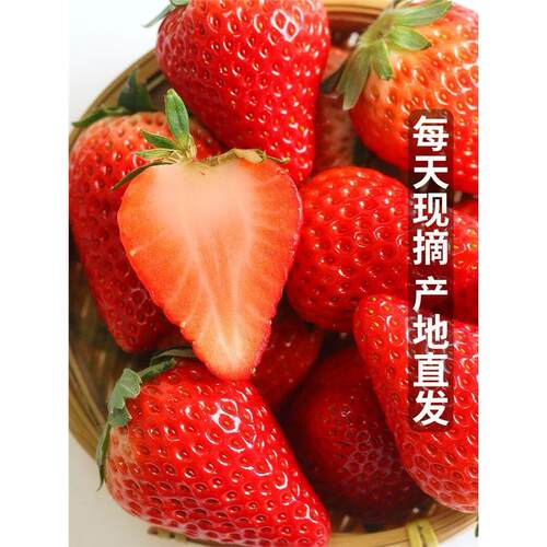 丹东99草莓红颜新鲜牛奶
