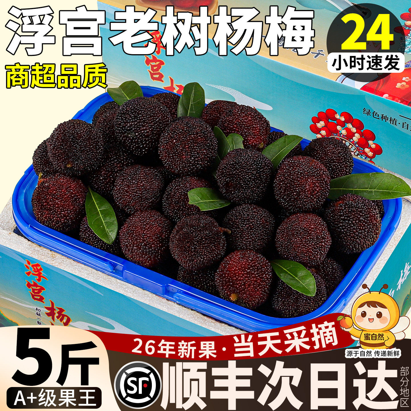 顺丰正宗杨梅鲜果漳州浮