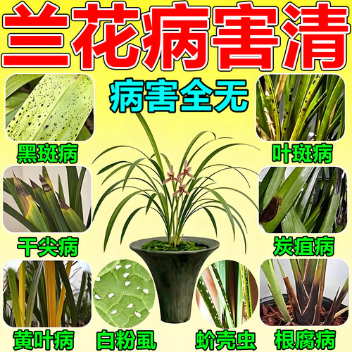 兰花黑斑病专用杀菌剂虫剂