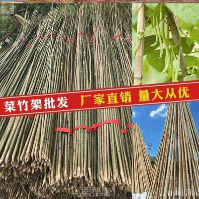 栅栏竹竿豆角架杆竹子[条搭架菜园架子米竹篱笆黄瓜小3围栏竹杆棍