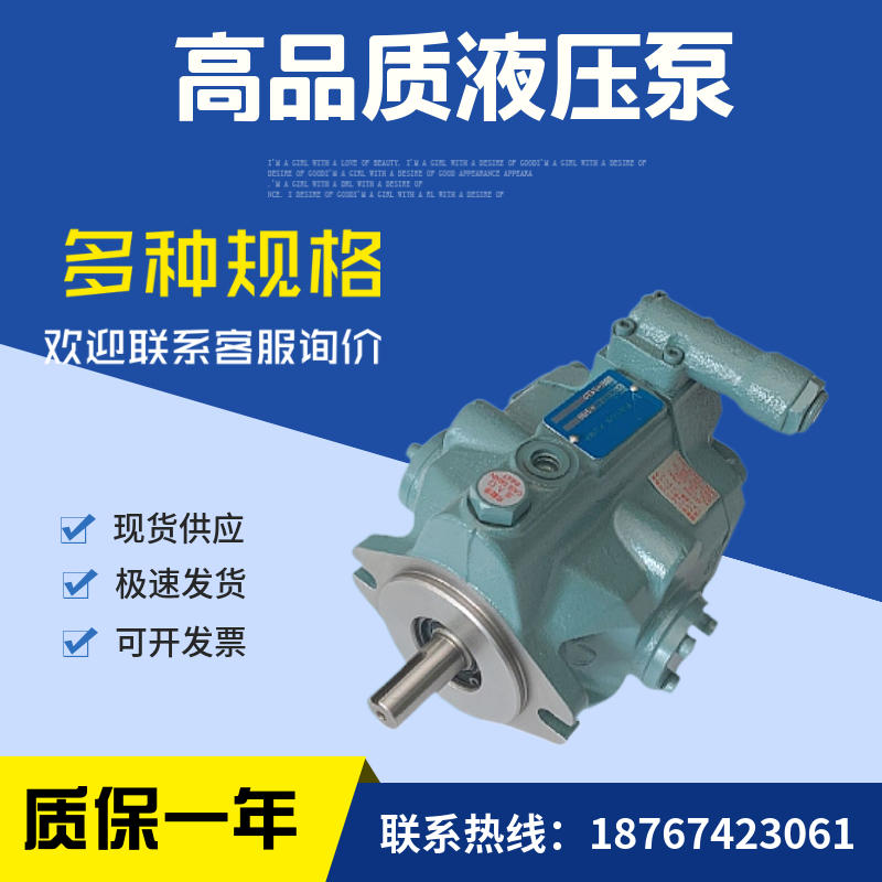 进口变量泵液压泵柱塞油泵V15A1RY-95S23泵头