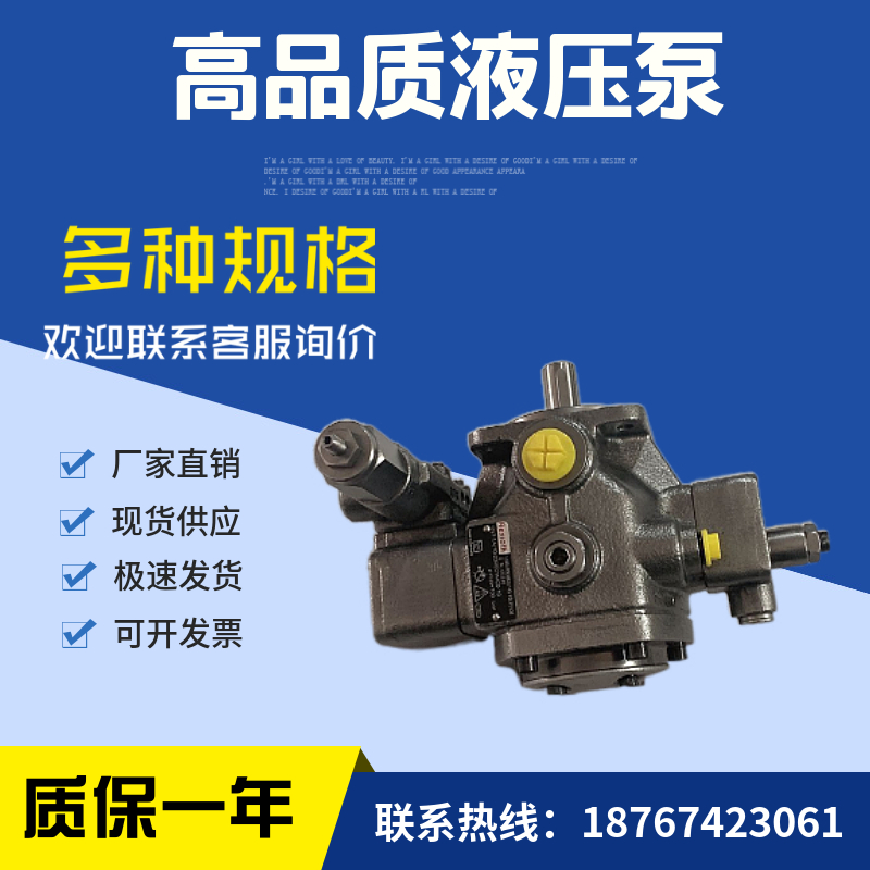 现货REXROTH力士乐叶片泵PV7-1X/25-45RE01MC0-08液压泵油泵