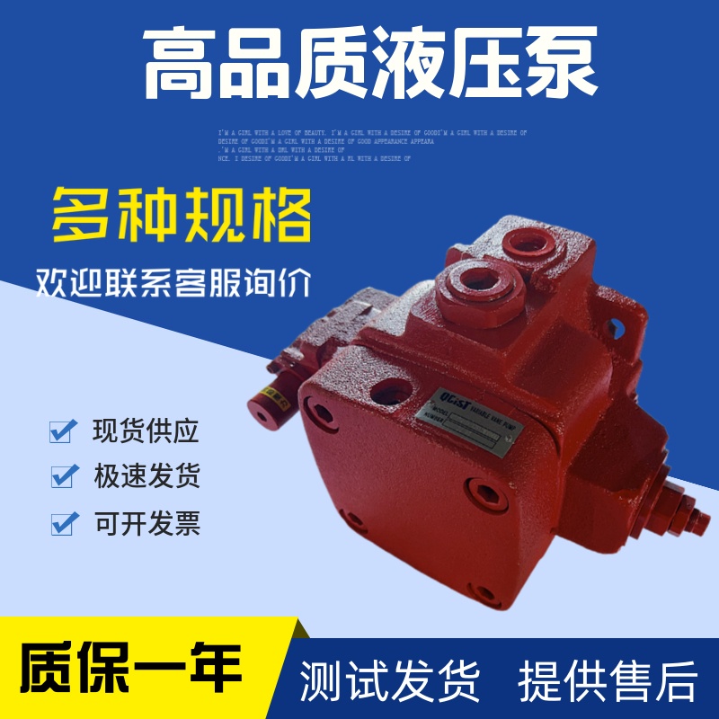 现货奇斯特QCIST叶片泵1PV2V4-17/20RA1MCO16A1