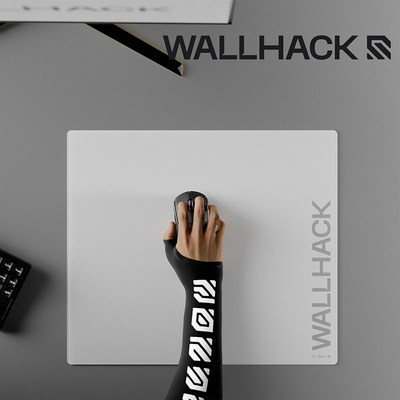 Wallhack冰袖FPS电竞专用