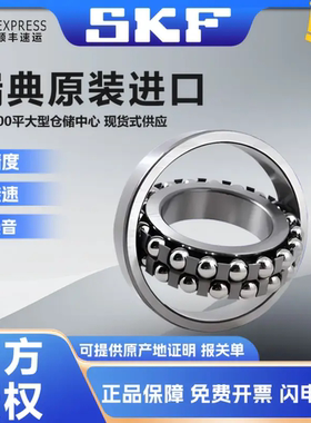 SKF进口调心球轴承 1215 1216 1217 1218 1219 E 2RS1 K TN9 M C3